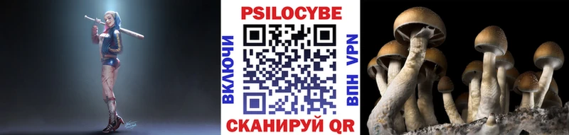 Галлюциногенные грибы GOLDEN TEACHER  купить   Томари 